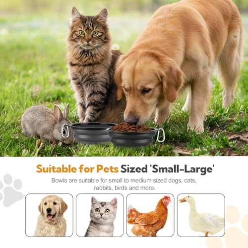 Collapsible Dog Bowl Large 34oz, Travel Dog Water Bowl Portable