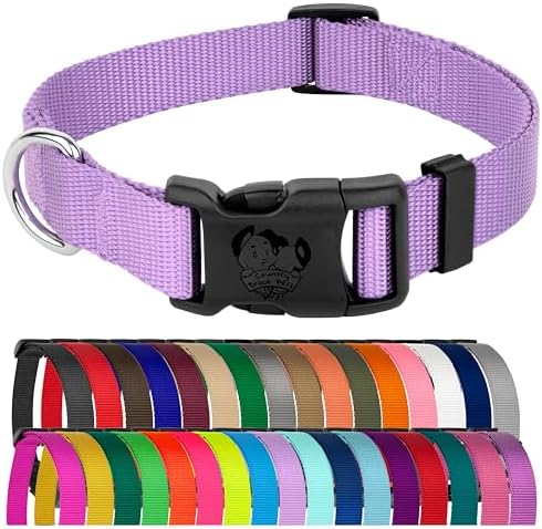 Country Brook Petz - Everyday Nylon Dog Collar for Large, Medium, and Small Dogs and Puppies - for Everyday Use in 30+ Colors (Medium, 3/4 Inch Wide, Lavender)