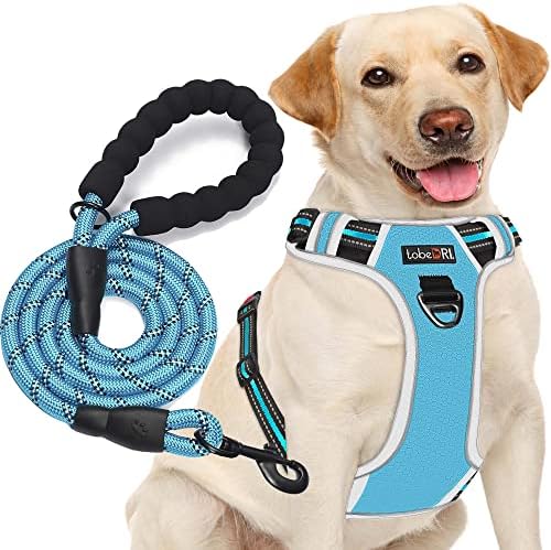tobeDRI No Pull Dog Harness Adjustable Reflective Oxford Easy Control Medium Large Dog Harness with A Free Heavy Duty 5ft Dog Leash, Blue/Grey, L