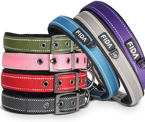 Fida Padded Dog Collar for Small Dogs with Metal Belt Buckle, Purple