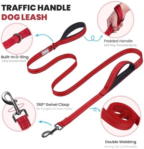 VIVAGLORY Double Handle Dog Leash Twingrip, 5ft x 1in, M, Red