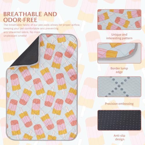IEUUMLER Washable Pee Pads for Dogs, 2 Pack Non-Slip & Waterproof Pack Whelping Pad, Reusable Puppy Potty Training Pad with Fast Absorbent for Playpen EU007 (Grey Ice Pop, 30"X20"-2pcs)