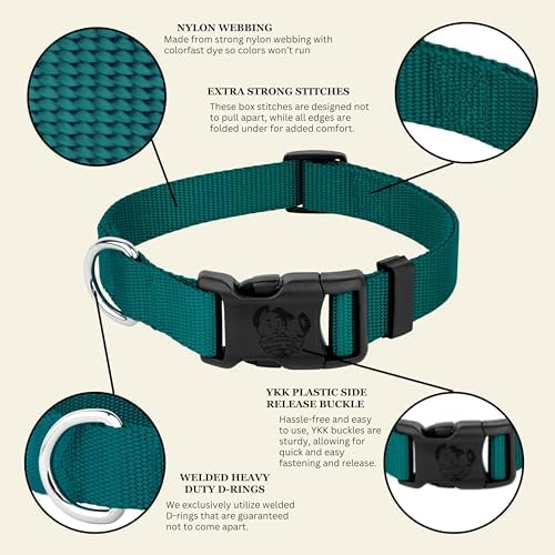 Country Brook Petz - Everyday Nylon Dog Collar for Large, Medium, and Small Dogs and Puppies - for Everyday Use in 30+ Colors (Small, 3/4 Inch Wide, Teal)