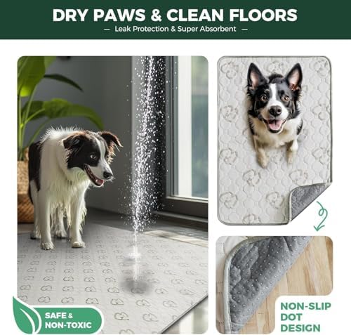 FXW Washable Pee Pads for Dogs, Super Absorbent, 43" x 98", 2 Packs