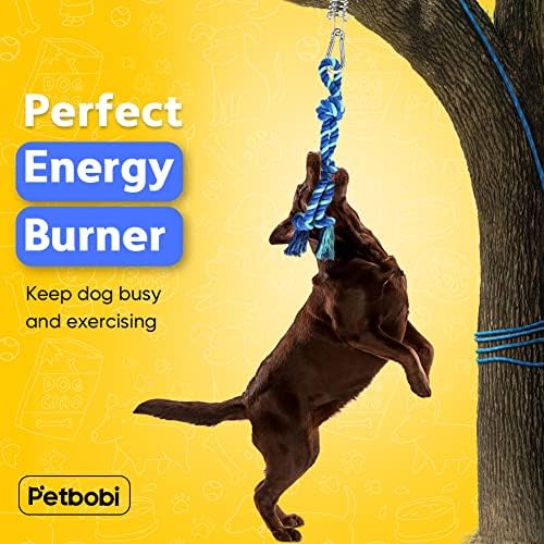Petbobi Dog Tree Tug Toy, Outdoor Hanging Spring Bungee Tether, Large Dog