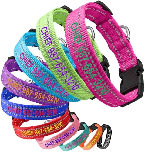 Personalized Reflective Dog Collar Custom Embroidered Name and Number, S