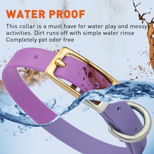 Viper Biothane Heavy Duty Waterproof Dog Collar Strong Coated Nylon Webbing w/Solid Brass Hardware Odor-Proof for Easy Care to Clean High Performance Fits Small Medium or Large Dogs, Amethyst Purple