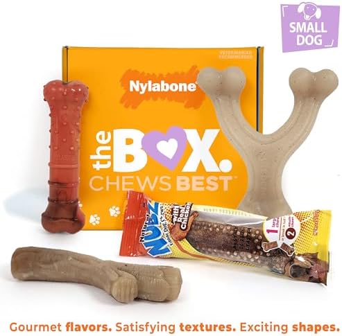 Nylabone Dog Gift Box, Strong Chew Toys & Treat, Small, 4 Count
