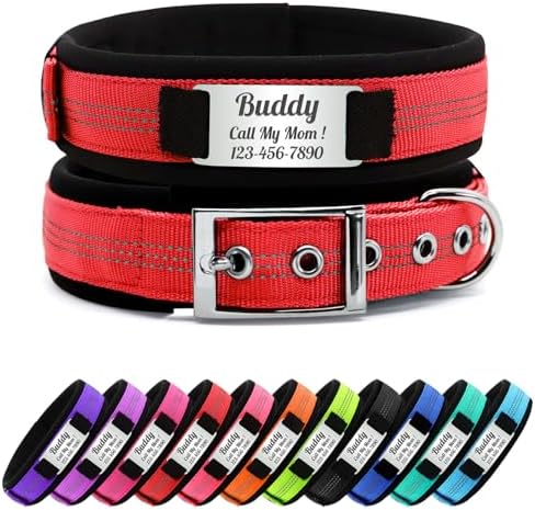 Personalized Nylon Dog Collar with Name Tag (Red, XL)