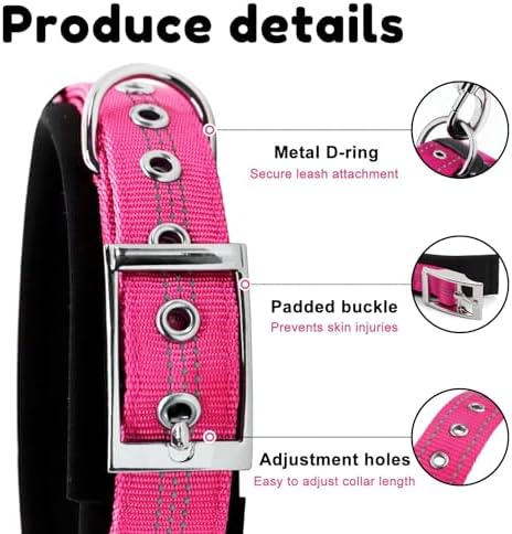 Reflective Personalized Dog Collar with Name Tag，Sky Blue：S
