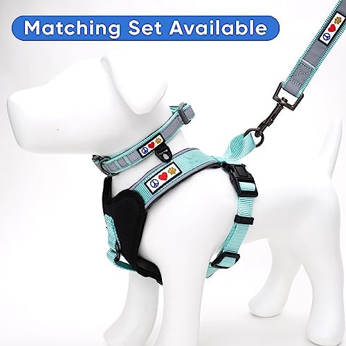 Pawtitas Camouflage Padded Reflective Dog Collar - Puppy Training Neoprene Behavioral Camo Collar XS Teal
