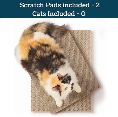 Refill Pads for No-Mess Cat Scratcher Box - 2 Double-Sided Replacement Pads