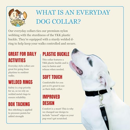 Country Brook Petz - Everyday Nylon Dog Collar for Large, Medium, and Small Dogs and Puppies - for Everyday Use in 30+ Colors (3XS, 3/8 Inch Wide, Black)