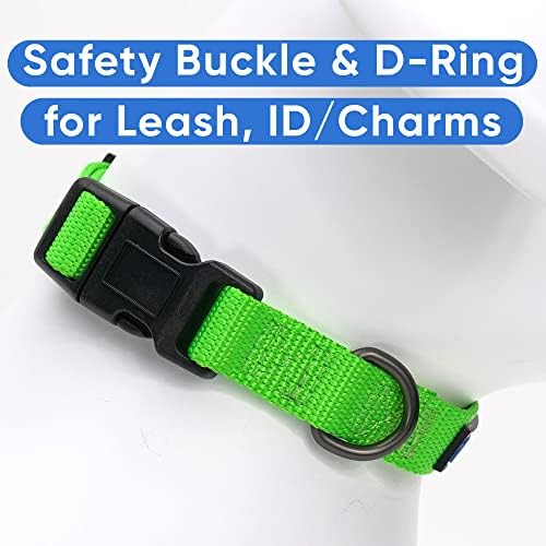 Pawtitas Solid Color Green Puppy or Dog Collar, Medium
