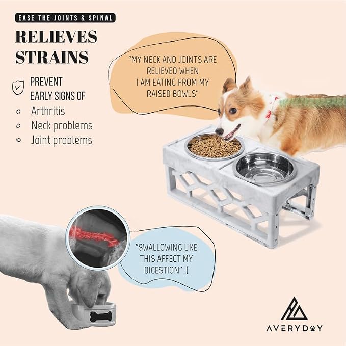 AVERYDAY Elevated Dog Bowls, 4 Height Adjustable Stand for Small and Medium Dogs, Raised Dog Feeder Holder with 2 Stainless Steel Food and Water Bowls, Anti-Slip Base Tall Feeding Station