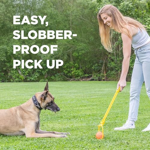 Project Hive Zoomer Stick | Dog Ball Thrower with Set of 2 Looped Dog Balls Included (Green and Blue) | Interactive Dog Toys for Both Land and Water | Balls for Dogs Perfect for Fetch and Tug Play