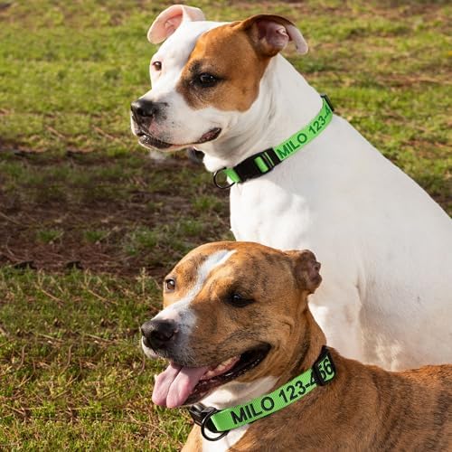 Pawtitas Personalized Dog Collar Small Dog Collar Embroider with Name Phone Number Puppy Collar Adjustable Customized Collar for Small Dogs Breeds Puppy Green Dog Collar