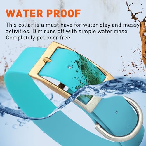 Viper Biothane Heavy Duty Waterproof Dog Collar Strong Coated Nylon Webbing w/Solid Brass Hardware Odor-Proof Easy to Clean High Performance Fits Small Medium or Large Dogs, Sky Blue