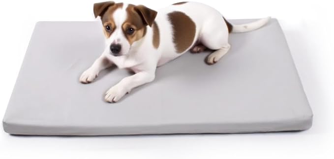 Dog Mat,19"x 30"Dogs Crate Pad,Indoor Non-Slip & Waterproof Dog Mat,Easy Wipe Clean in Seconds，Sleeping for Floor,Car,Sofa,Crate