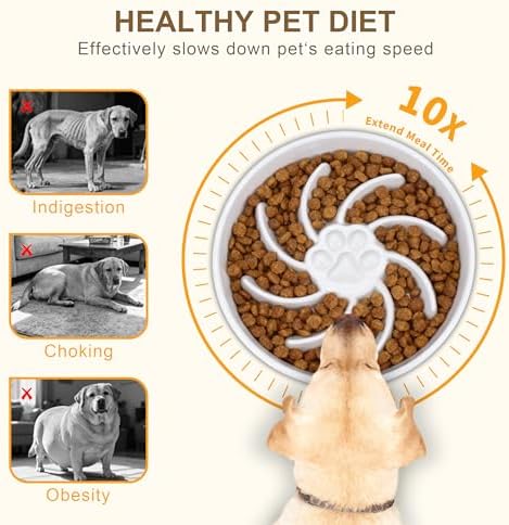 Ceramic Slow Feeder Dog Bowl, 3 Cup Dog Food or 25oz Water, Slow Eating Bowl for Middle Breed, Maze Puzzle Feeder for Fast Eaters, Anti-Choking Stop Bloat, Non-Slip BPA Free (White)