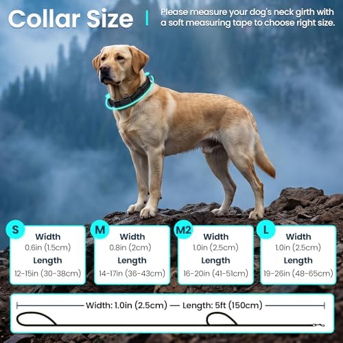 VIVAGLORY Double Handle Dog Leash Twingrip, 5ft x 1in, L, Blue