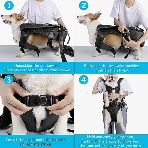 PetBonus Pet Front Dog Carrier Backpacks, Adjustable Pet Backpack, Legs Out Easy-fit Puppy Chest Carrier for Medium Small Dogs, Hands Free for Hiking, Cycling (Black, M)