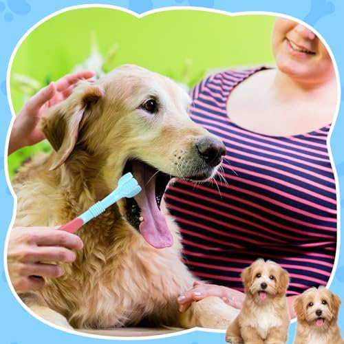 Vesici 20 Pcs 7 Inch Dog Toothbrush 3 Sided Pet Teeth Cleaning Brush Dental Care Suitable for Dog Most Pets Cat Puppy Kitten Different Teeth and Mouth Shapes Cleaning
