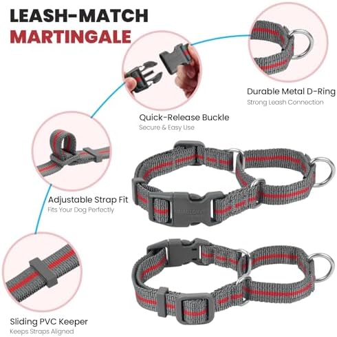 VIVAGLORY Double Handle Dog Leash Twingrip, 5ft x 1in, S, Red Grey