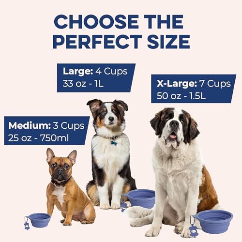 Bonza Collapsible Dog Bowls - 2 Pack, Small 12 oz, Dog Travel Accessories, Silicone Portable Dogs Bowl & Water Dish with Reinforced Rim & Carabiner for Hiking, Camping, and Car Trips, Light Gray