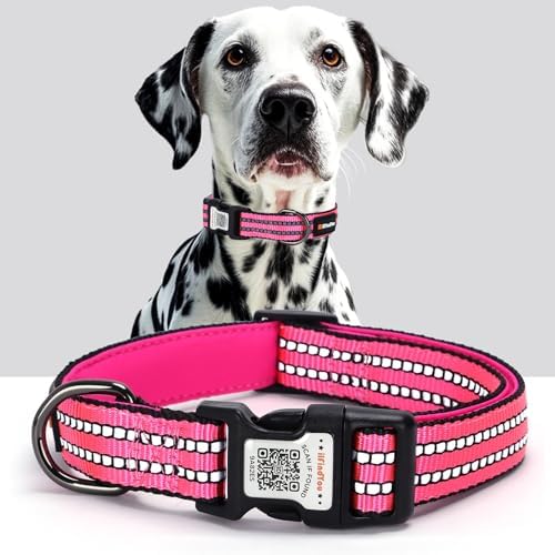 Personalized Dog Collar with QR Code Dog Tag, Rose Red M