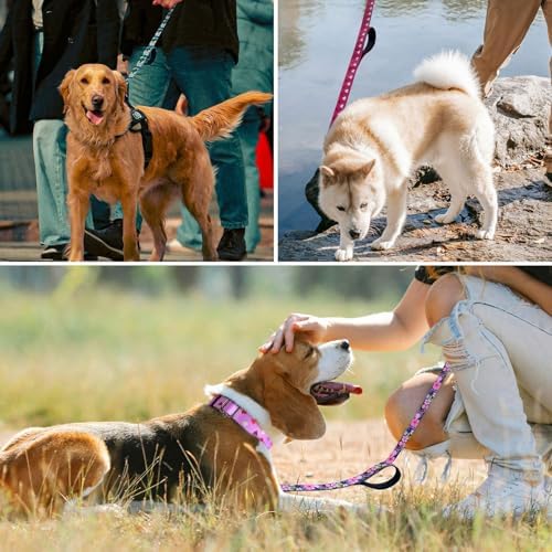 Hikiko 6FT Dog Leash Padded Double Handle with Designed Pattern