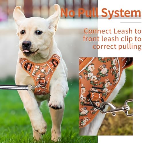 HEELE Dog Harness, No Pull Adjustable Padded Reflective Harness for Small Medium Large Dogs with Handle for Walking Training, Flower-Orange,L