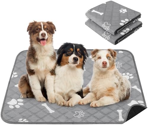 PatiencET Washable Pee Pads for Dogs, 36" x 48" 2 Pack, Extra Large Reusable Puppy Pads with Super Absorbent Core & Non-Slip Waterproof Bottom for Playpens, Sofas & Beds