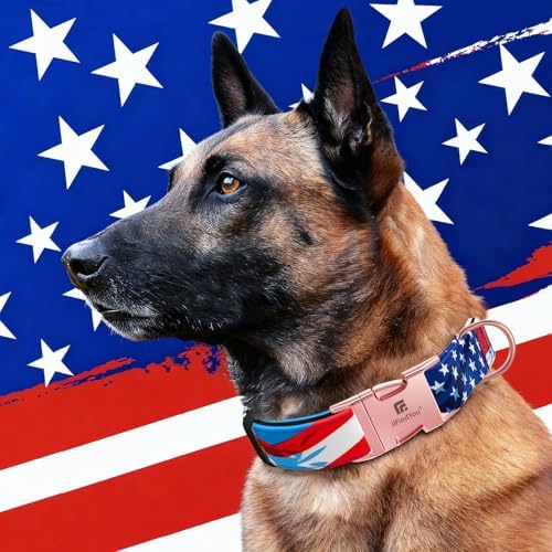 Reflective Dog Collar for Large Dogs, 4th of July Dog Collar-L