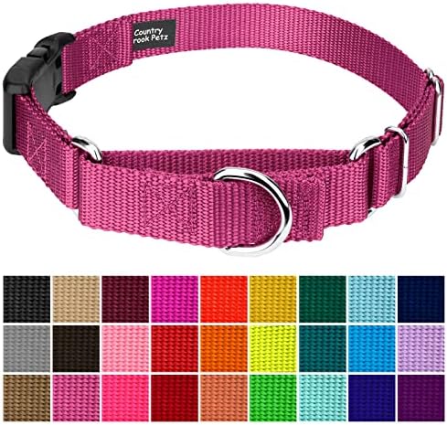 Martingale Dog Collar - Heavy Duty Nylon Adjustable Martingale Dog Collar with Plastic Buckle for Small Medium Large Breeds - 30+ Colors (1 Inch, Large, Rose)