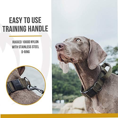OneTigris Heavy Duty Dog Collar for Large Dogs with Traffic Handle Green L