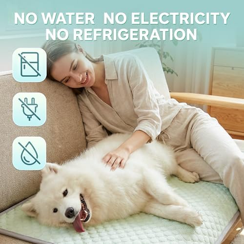 PatiencET Large Dog Cooling Mat, 32 x 44 in No-Gel Cooling Pad for Dogs, Cool Touch Pet Mat with Ice-Dot Texture, Washable Summer Dog Mat for Crate, Kennel, Floor, Sofa, Car, Light Green