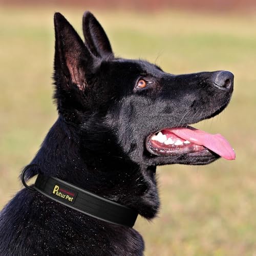 Plutus Pet Tactical Dog Collar, Reflective, for Small Medium Large Dogs