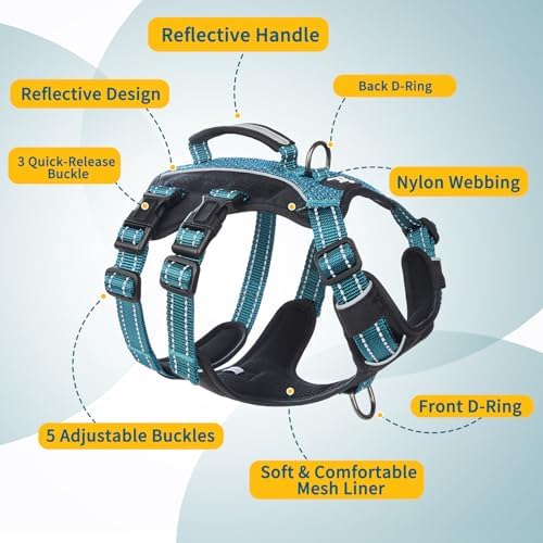 Huntboo Service Dog Vest Harness, Escape Proof Harness with 6 Patches, No-Pull, Reflective Harness with Handle, Adjustable for Small to Large Dogs, for Training and Hiking (Teal, XS)