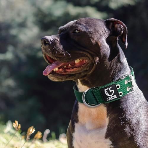 TSPRO Heavy-Duty Tactical Dog Collar with Patch, Large & Extra Large Dogs