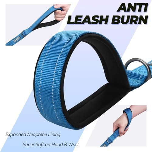 VIVAGLORY Double Handle Dog Leash Twingrip, 6ft x 1in, Navy
