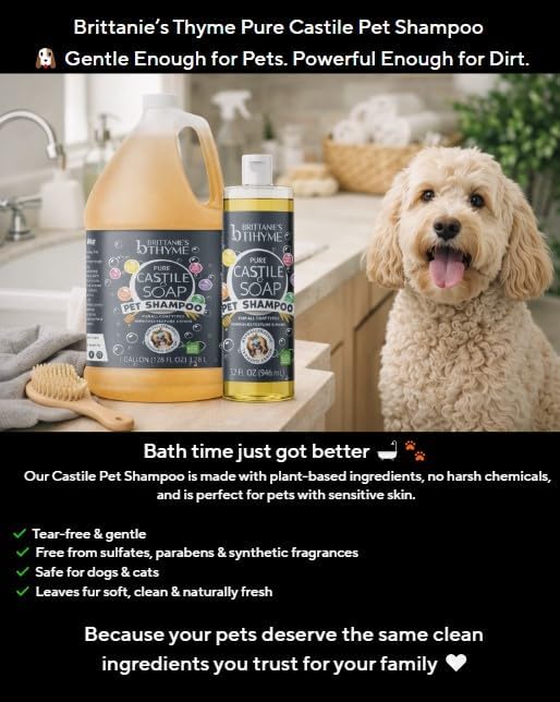 Brittanie's Itchy Skin Relief Pet Shampoo, Honey & Oatmeal, 32oz 2 Pack | Natural Shampoo For Dogs & Cats, For Allergies and Itching, Deodorizes, Moisturizes & PH Balanced