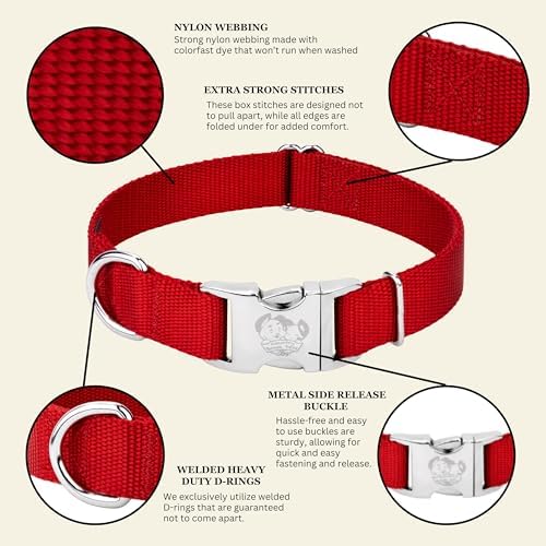 Country Brook Petz - Premium Nylon Dog Collar with Metal Buckle for Small Medium Large Breeds - 30+ Colors (Extra Large, 1 Inch, Red)