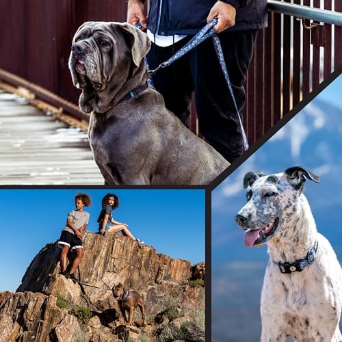 Wolfgang Heavy Duty, Adjustable Dog Collar with Quick Release Nylon Buckle for Walking & Training, WolfMountain Print, Small