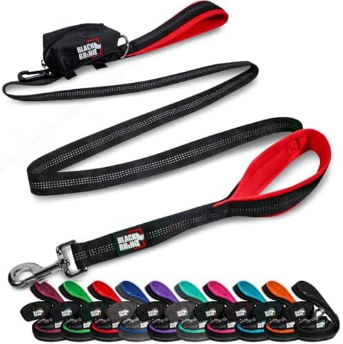 Black Rhino 6 ft Long Heavy Duty Dog Leash with Traffic Handle for Medium and Large Dogs - with Padded Neoprene Dual Handles, Bag and Clip - Reflective, Durable, and Weather Resistant - Red
