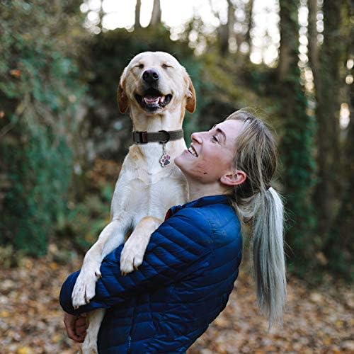 Dog Collar Waterproof Pet Collars,Neck Adjustable Silicone Dog Collar with Strong Coated Webbing and Cute Metal Pendant for Boy Girls Dog Collars S/M/L Sizes