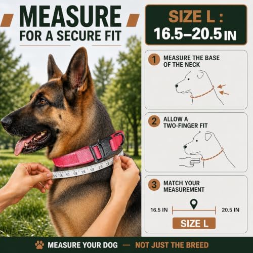 Tactical Dog Collar with Handle, Heavy Duty Nylon for Female Dogs