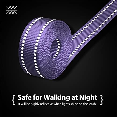 PHOEPET 5 Feet Dog Leash - Dual-Side Reflective - Soft Padded Handle
