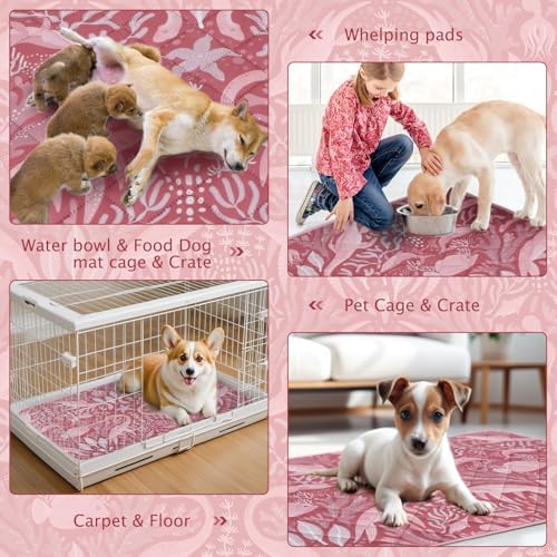 BVAGSS Washable Pee Pads for Dogs, 2 Pack Reusable Leakproof Puppy Wee Wee Pad, Non-Slip Waterproof Pet Training Pads, Super Absorbent Whelping Pads XH081 (Dino Pink, 24X18 Inch (Pack of 2))