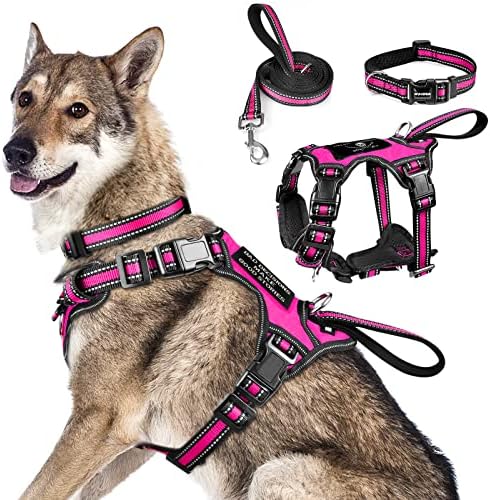 WINSEE Pet Harness Collar and Leash Set, All-in-one Reflective Dog Harness No Pull with Adjustable Buckles for Puppies, Small, Medium, Large, and Extra-Large Dogs (X-Large, Rosy)